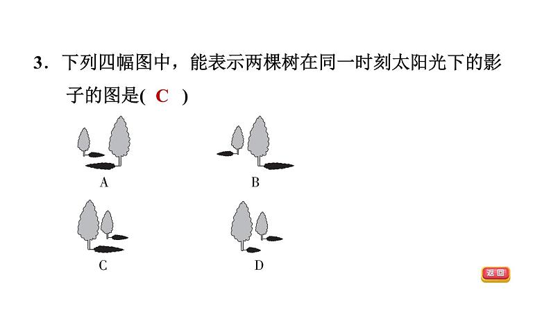 中考数学复习第30课时投影与视图课后练课件第5页