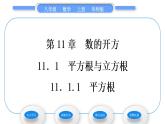 华师大版八年级数学上第11章数的开方11.1平方根与立方根1平方根习题课件