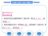 华师大版八年级数学上第13章全等三角形13.2三角形全等的判定4角边角习题课件