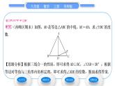 华师大版八年级数学上第13章全等三角形13.3等腰三角形1等腰三角形的性质习题课件