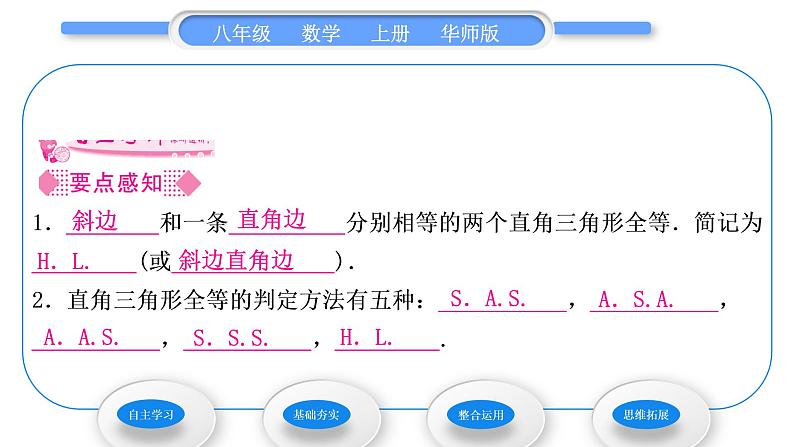 华师大版八年级数学上第13章全等三角形13.2三角形全等的判定5斜边直角边习题课件02