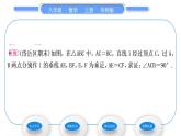 华师大版八年级数学上第13章全等三角形13.2三角形全等的判定5斜边直角边习题课件