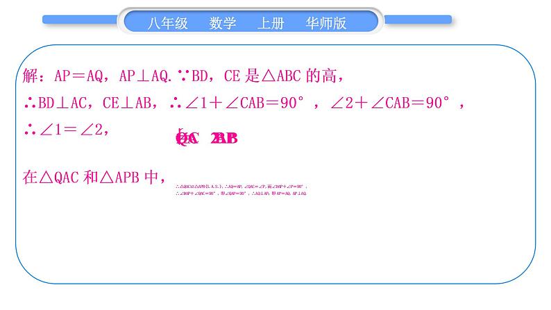 华师大版八年级数学上第13章全等三角形知能素养小专题(五)全等三角形的性质与判定习题课件第5页