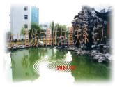 2.1 直线和圆的位置关系(1)-浙教版九年级数学下册课件