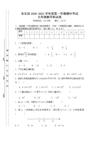 海南省乐东县2020-2021学年七年级上学期期中考试数学试题（含答案）