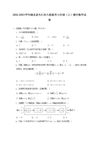 湖北省天门市八校联考2022-2023学年七年级上学期期中数学试卷（含答案）