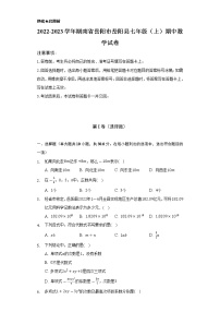 湖南省岳阳市岳阳县2022-2023学年七年级上学期期中数学试卷 （含答案）