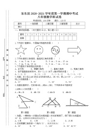 海南省乐东县2020-2021学年八年级上学期期中考试数学试题（含答案）