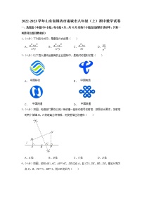 山东省潍坊市诸城市2022-2023学年八年级上学期期中数学试卷（含答案）