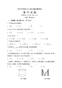 四川省成都市天府新区太平中学2022-2023学年八年级上学期期中考试数学试题（含答案）