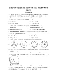 河南省信阳市淮滨县2022-2023学年九年级上学期期中数学试题（含答案）