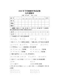 湖南省邵阳市武冈市2020-2021学年九年级上学期期中考试数学试题（含答案）