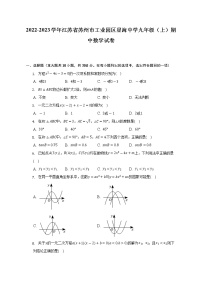 江苏省苏州市工业园区星海中学2022-2023学年九年级上学期期中数学试卷 （含答案）