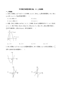 2022年中考数学真题分类汇编：14 二次函数