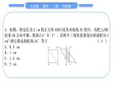 华师大版九年级数学上第22章一元一次方程基本功强化训练(三)一元二次方程的实际应用习题课件