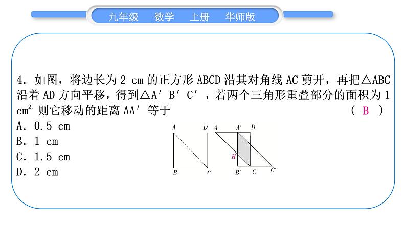 华师大版九年级数学上第22章一元一次方程基本功强化训练(三)一元二次方程的实际应用习题课件05