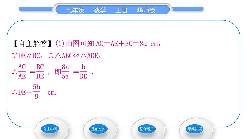 华师大版九年级数学上第23章图形的相似23.3相似三角形1似三角形习题课件04