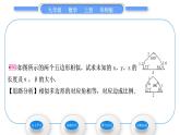 华师大版九年级数学上第23章图形的相似23.2相似图形习题课件