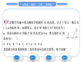 华师大版九年级数学上第24章解直角三角形24.1测量习题课件