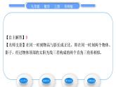 华师大版九年级数学上第24章解直角三角形24.1测量习题课件