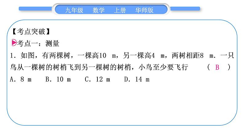 华师大版九年级数学上第24章解直角三角形章末复习与提升习题课件02