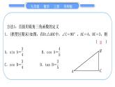 华师大版九年级数学上第24章解直角三角形知能素养小专题(三)求锐角三角函数值的常用方法习题课件