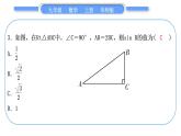 华师大版九年级数学上第24章解直角三角形基本功强化训练(五)特殊三角函数的计算习题课件