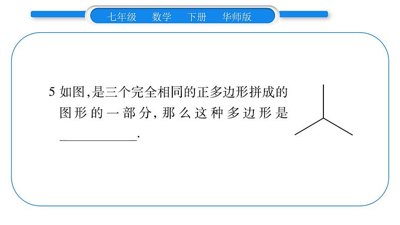 华师大版七年级数学下第9章多边形9.3 用正多边形铺设地面1用相同的正多边形习题课件05