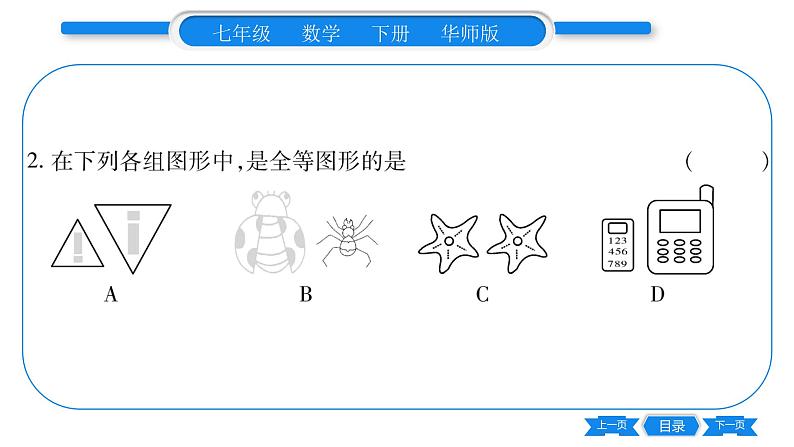 华师大版七年级数学下第10章轴对称、平移与旋转10.5 图形的全等习题课件07