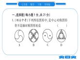 华师大版七年级数学下单元周周测（10.3-10.5）习题课件