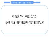 華師大版八年級數(shù)學上第13章全等三角形知能素養(yǎng)小專題(六)等腰三角形的性質(zhì)與判定的綜合應用習題課件