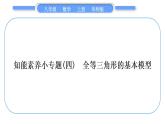 華師大版八年級數(shù)學上第13章全等三角形知能素養(yǎng)小專題(四)全等三角形的基本模型習題課件