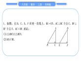 華師大版八年級數(shù)學上第13章全等三角形知能素養(yǎng)小專題(四)全等三角形的基本模型習題課件
