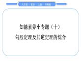 華師大版八年級(jí)數(shù)學(xué)上第14章勾股定理知能素養(yǎng)小專題(十)勾股定理及其逆定理的綜合習(xí)題課件