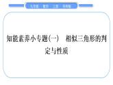 華師大版九年級(jí)數(shù)學(xué)上第23章圖形的相似知能素養(yǎng)小專題(一)相似三角形的判定與性質(zhì)習(xí)題課件