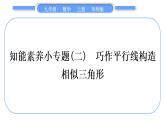 华师大版九年级数学上第23章图形的相似知能素养小专题(二)巧作平行线构造相似三角形习题课件