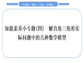 华师大版九年级数学上第24章解直角三角形知能素养小专题(四)解直角三角形实际问题中的几种数学模型习题课件