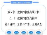 湘教版七年级数学上第5章数据的收集与统计图1数据的收集与抽样第1课时总体与个体、全面调查习题课件