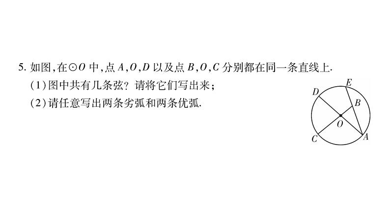 华师大版九年级数学下第27章圆27.1圆的认识1圆的基本元素习题课件07