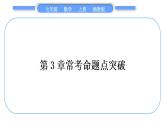 湘教版七年级数学上第3章一元一次方程第3章常考命题点突破习题课件