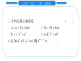 湘教版七年级数学下第2章整式的乘法第2章 常考命题点突破习题课件