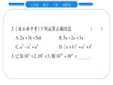 湘教版七年级数学下第2章整式的乘法小专题（二） 整式的乘法及应用习题课件