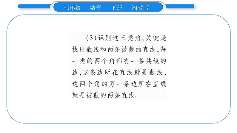 湘教版七年级数学下第4章相交线与平行线4.1平面上两条直线的位置关系2相交直线所成的角习题课件第6页