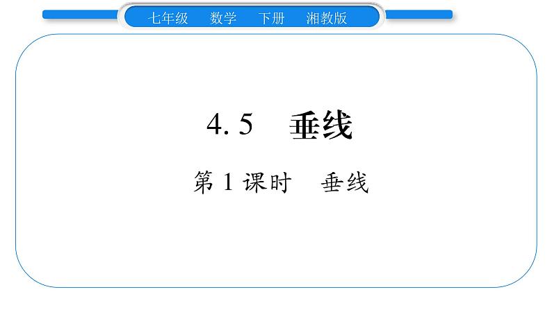 湘教版七年级数学下第4章相交线与平行线4.5 垂线第1课时垂线习题课件01