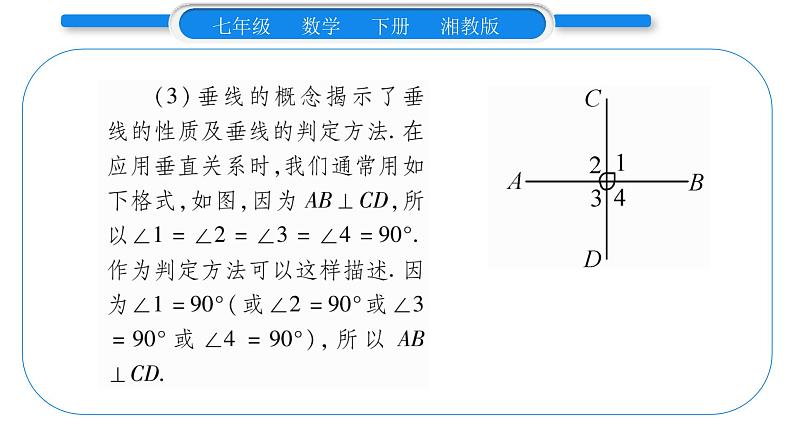 湘教版七年级数学下第4章相交线与平行线4.5 垂线第1课时垂线习题课件06