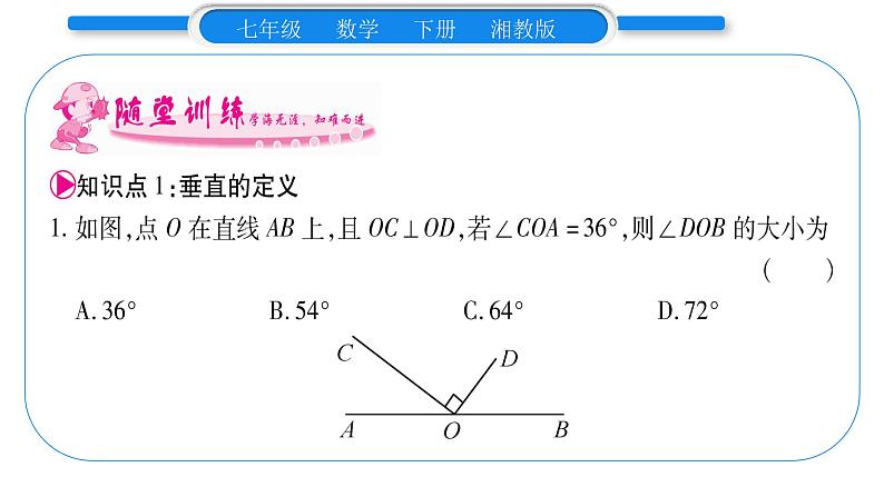 湘教版七年级数学下第4章相交线与平行线4.5 垂线第1课时垂线习题课件08