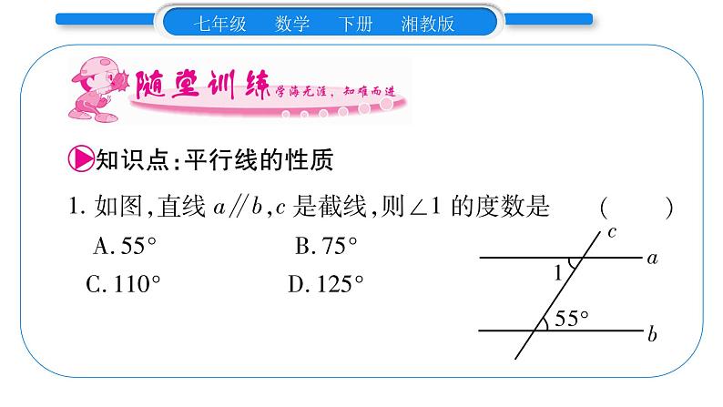 湘教版七年级数学下第4章相交线与平行线4.3 平行线的性质习题课件第8页