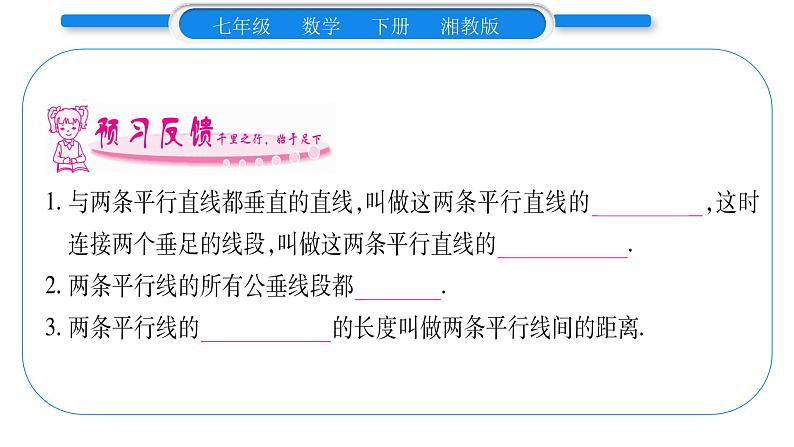 湘教版七年级数学下第4章相交线与平行线4.6 两条平行线间的距离习题课件07