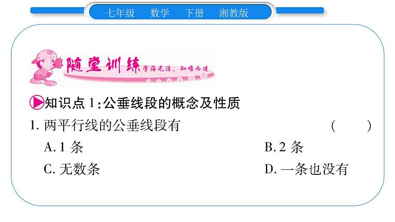 湘教版七年级数学下第4章相交线与平行线4.6 两条平行线间的距离习题课件08