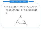 湘教版七年级数学下第4章相交线与平行线第4章 常考命题点突破习题课件